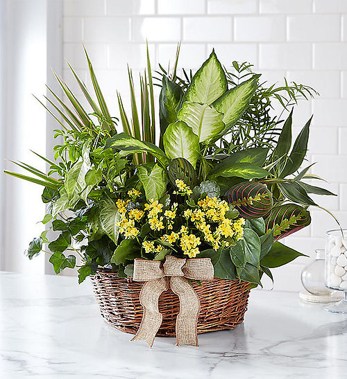 Garden Blooms For you