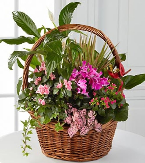 Woodlands Planter