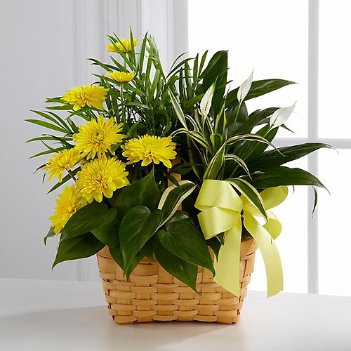 Sunrise Welcome Planter