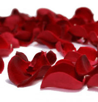 2 Dozen Red and White Rose Vase