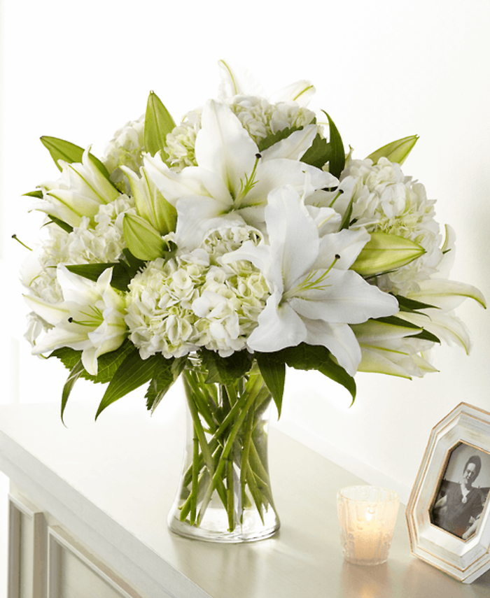 Compassionate Lily