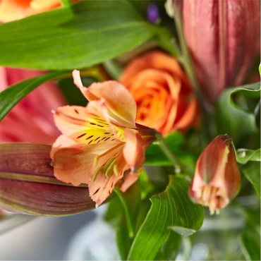 Bold &amp; Bright – A Florist Original